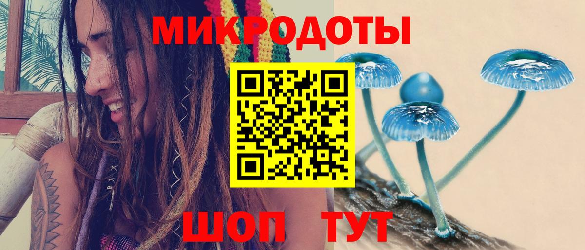 Кисловодск  Псилоцибиновые грибы Magic Shrooms  Вход с VPN 