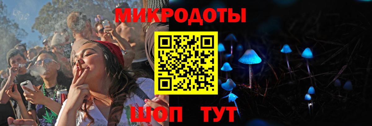 Галлюциногенные грибы прущие грибы Кисловодск